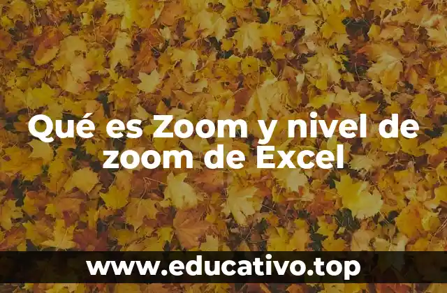 Qué es Zoom y nivel de zoom de Excel