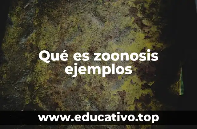 Qué es zoonosis ejemplos
