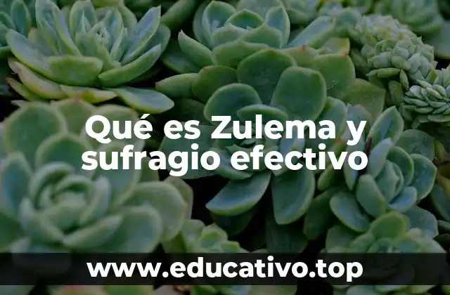 Qué es Zulema y sufragio efectivo