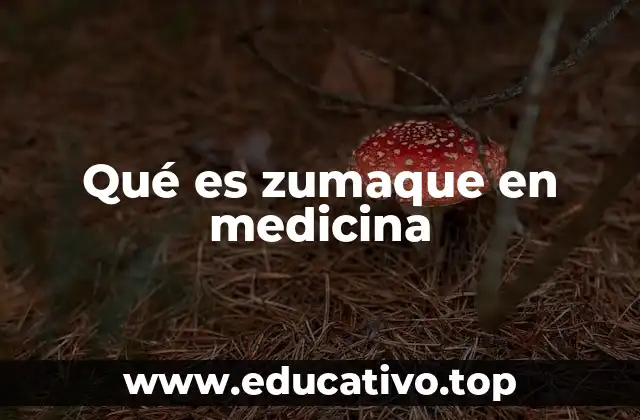 Qué es zumaque en medicina