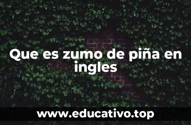 Que es zumo de piña en ingles