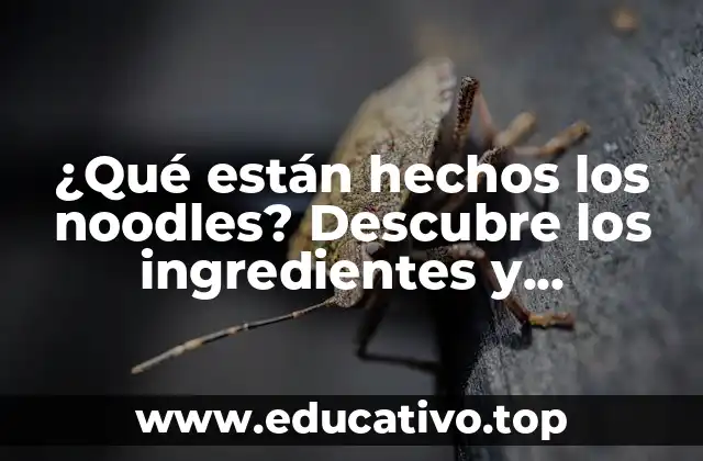 ¿Qué están hechos los noodles? Descubre los ingredientes y materiales detrás de estos deliciosos fideos