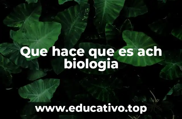 Que hace que es ach biologia