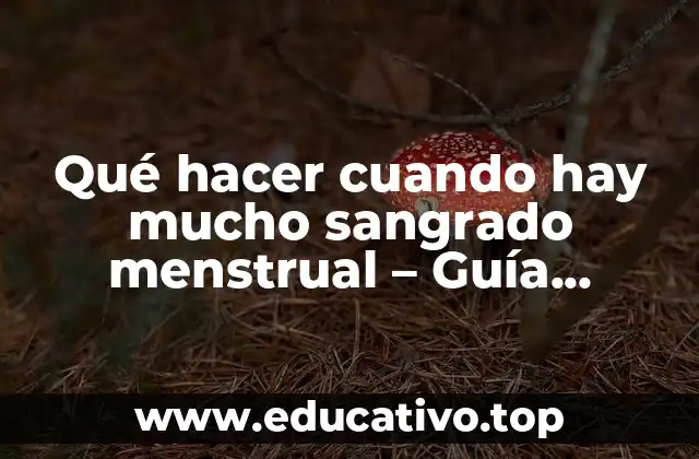 Qué hacer cuando hay mucho sangrado menstrual – Guía completa
