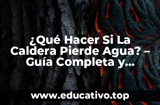 ¿Qué Hacer Si La Caldera Pierde Agua? – Guía Completa y Actualizada
