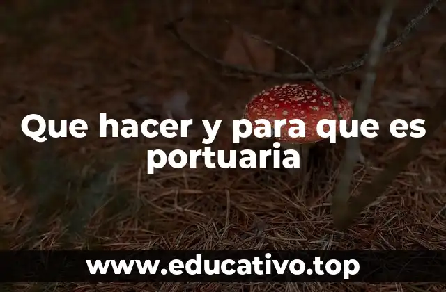 Que hacer y para que es portuaria