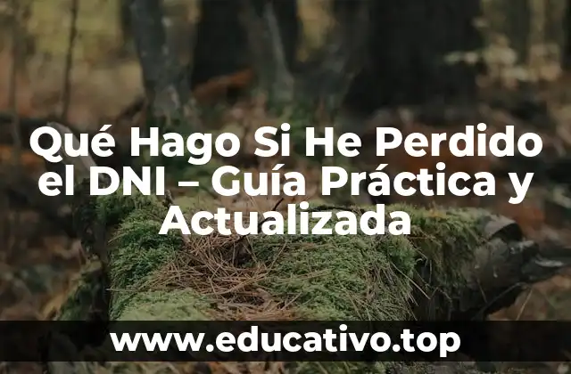 Qué Hago Si He Perdido el DNI – Guía Práctica y Actualizada
