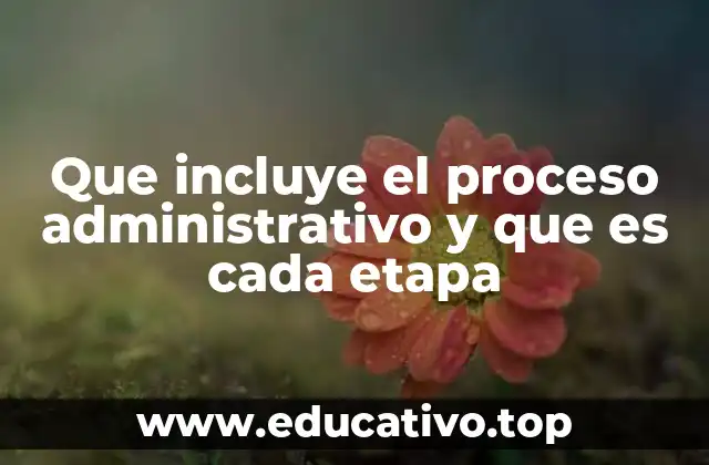 Que incluye el proceso administrativo y que es cada etapa