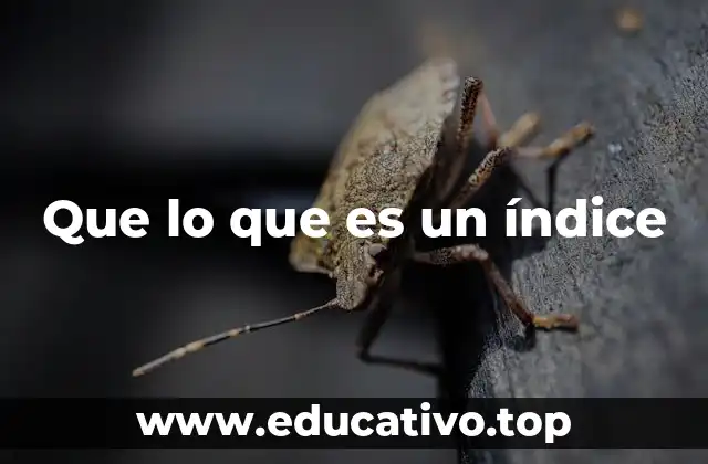 Que lo que es un índice