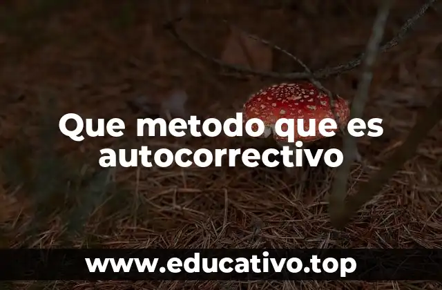 Que metodo que es autocorrectivo