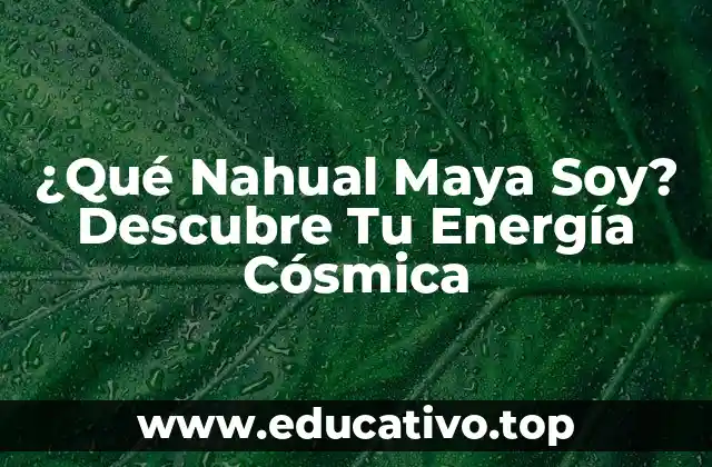¿Qué Nahual Maya Soy? Descubre Tu Energía Cósmica