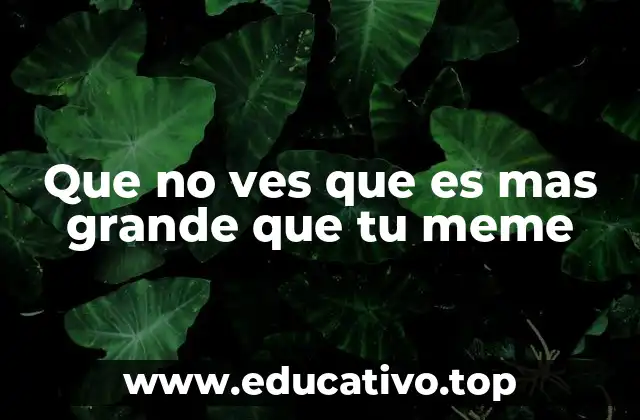 Que no ves que es mas grande que tu meme