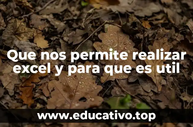 Que nos permite realizar excel y para que es util