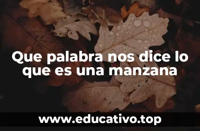 Que palabra nos dice lo que es una manzana