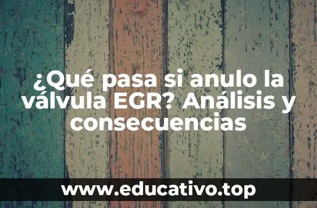 ¿Qué pasa si anulo la válvula EGR? Análisis y consecuencias