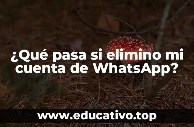 ¿Qué pasa si elimino mi cuenta de WhatsApp?