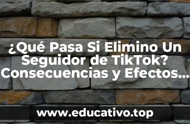 ¿Qué Pasa Si Elimino Un Seguidor de TikTok? Consecuencias y Efectos en Tu Cuenta
