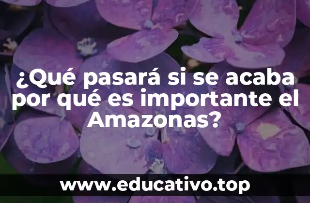 ¿Qué pasará si se acaba por qué es importante el Amazonas?