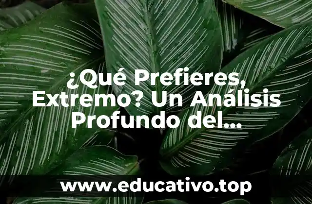 ¿Qué Prefieres, Extremo? Un Análisis Profundo del Comportamiento Humano