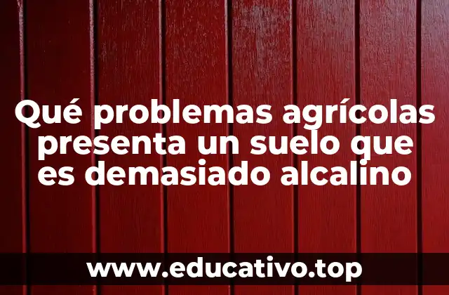 Qué problemas agrícolas presenta un suelo que es demasiado alcalino