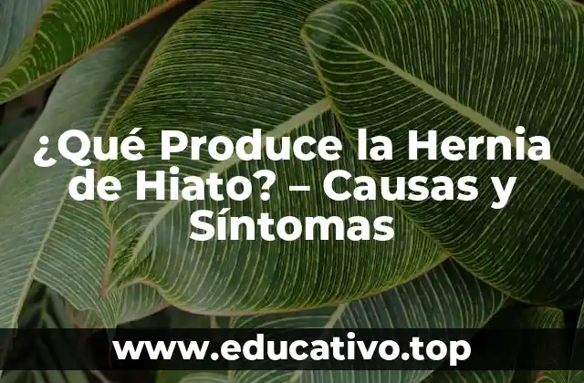 ¿Qué Produce la Hernia de Hiato? – Causas y Síntomas