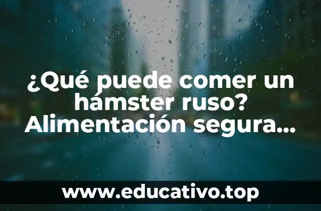 ¿Qué puede comer un hámster ruso? Alimentación segura para tus pequeños amigos