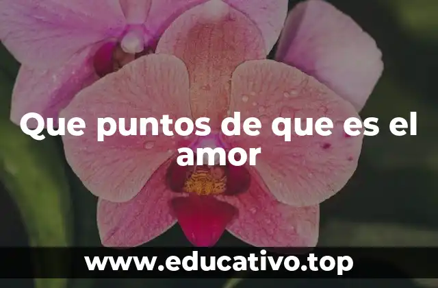 Que puntos de que es el amor