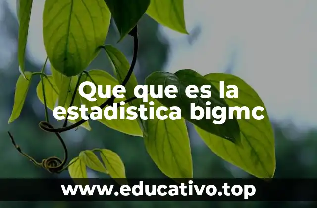 Que que es la estadistica bigmc