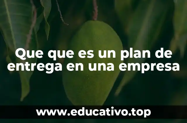 Que que es un plan de entrega en una empresa