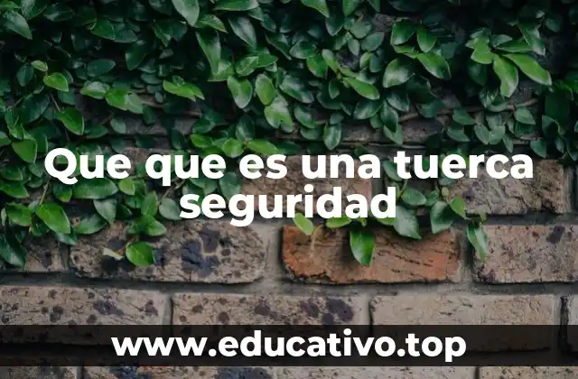 Que que es una tuerca seguridad