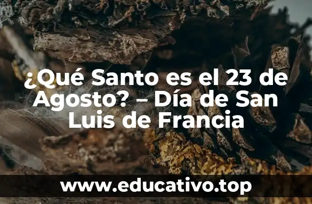 ¿Qué Santo es el 23 de Agosto? – Día de San Luis de Francia