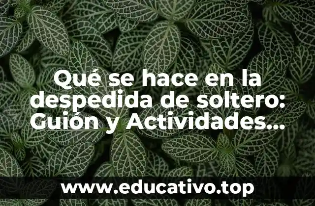 Qué se hace en la despedida de soltero: Guión y Actividades para una Noche Inolvidable