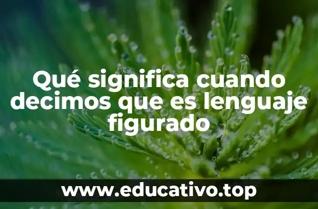Qué significa cuando decimos que es lenguaje figurado