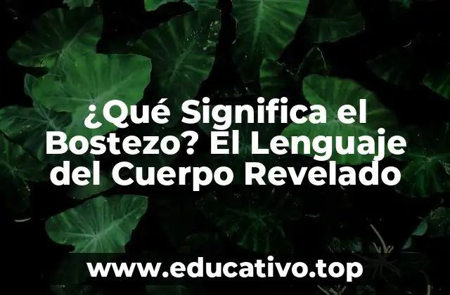 ¿Qué Significa el Bostezo? El Lenguaje del Cuerpo Revelado