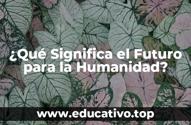¿Qué Significa el Futuro para la Humanidad?