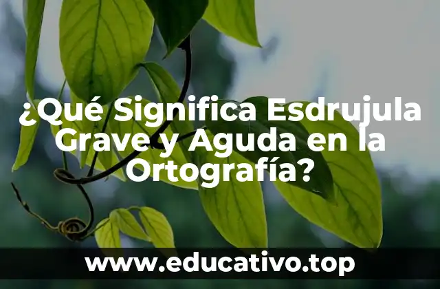 ¿Qué Significa Esdrujula Grave y Aguda en la Ortografía?