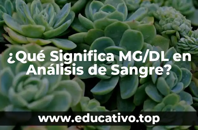 ¿Qué Significa MG/DL en Análisis de Sangre?