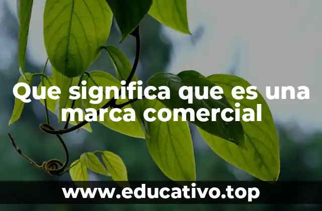Que significa que es una marca comercial