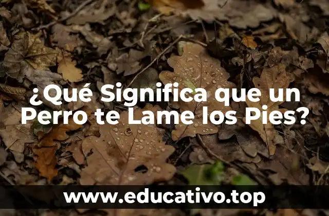 ¿Qué Significa que un Perro te Lame los Pies?