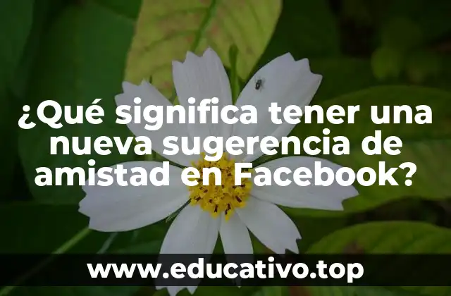 ¿Qué significa tener una nueva sugerencia de amistad en Facebook?