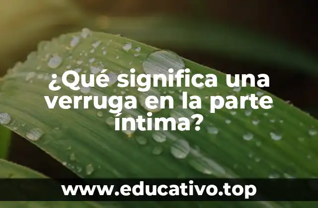 ¿Qué significa una verruga en la parte íntima?