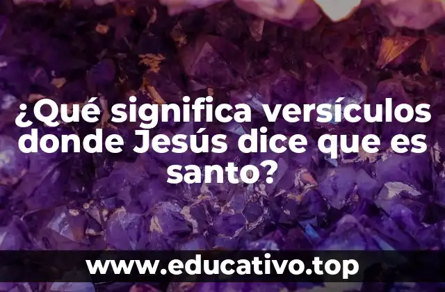 ¿Qué significa versículos donde Jesús dice que es santo?