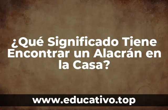 ¿Qué Significado Tiene Encontrar un Alacrán en la Casa?