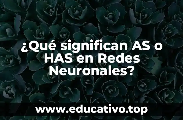 ¿Qué significan AS o HAS en Redes Neuronales?