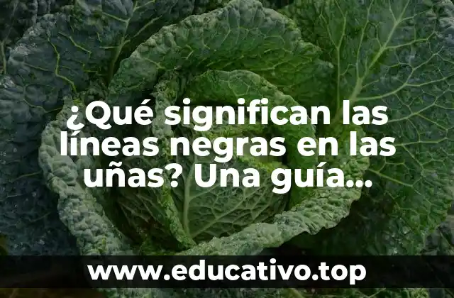 ¿Qué significan las líneas negras en las uñas? Una guía completa