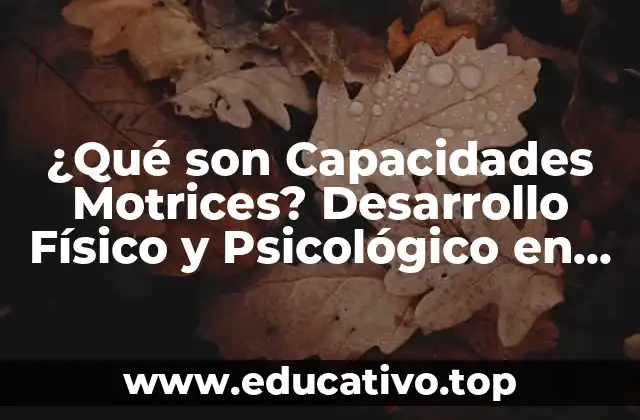 ¿Qué son Capacidades Motrices? Desarrollo Físico y Psicológico en Niños y Adultos