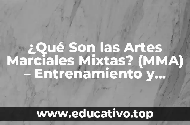 ¿Qué Son las Artes Marciales Mixtas? (MMA) – Entrenamiento y Técnicas