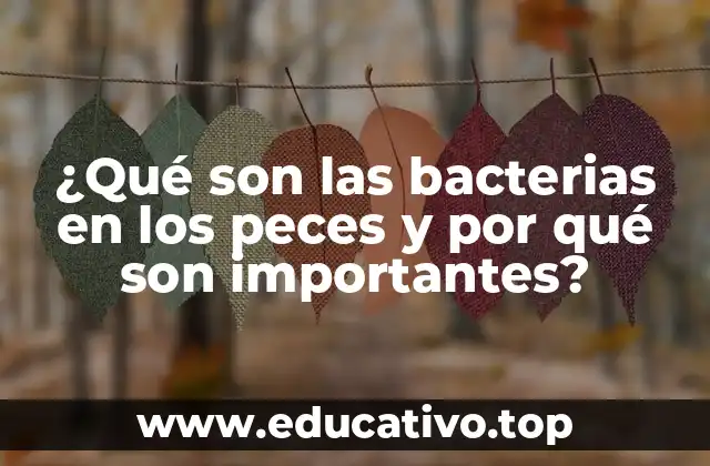 ¿Qué son las bacterias en los peces y por qué son importantes?