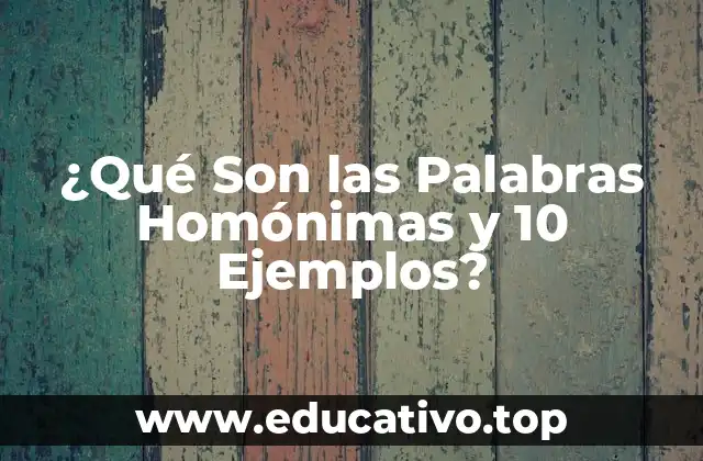 ¿Qué Son las Palabras Homónimas y 10 Ejemplos?