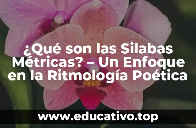 ¿Qué son las Silabas Métricas? – Un Enfoque en la Ritmología Poética